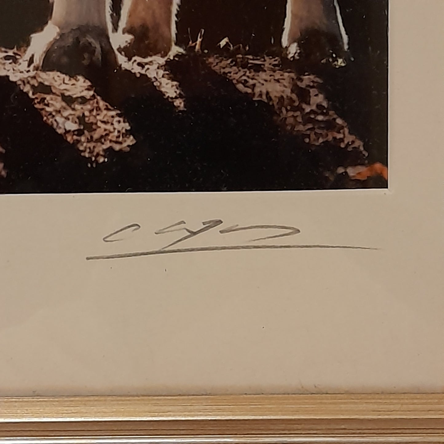 Cheng Yan Studio 'Morning Wolf' Framed Photo