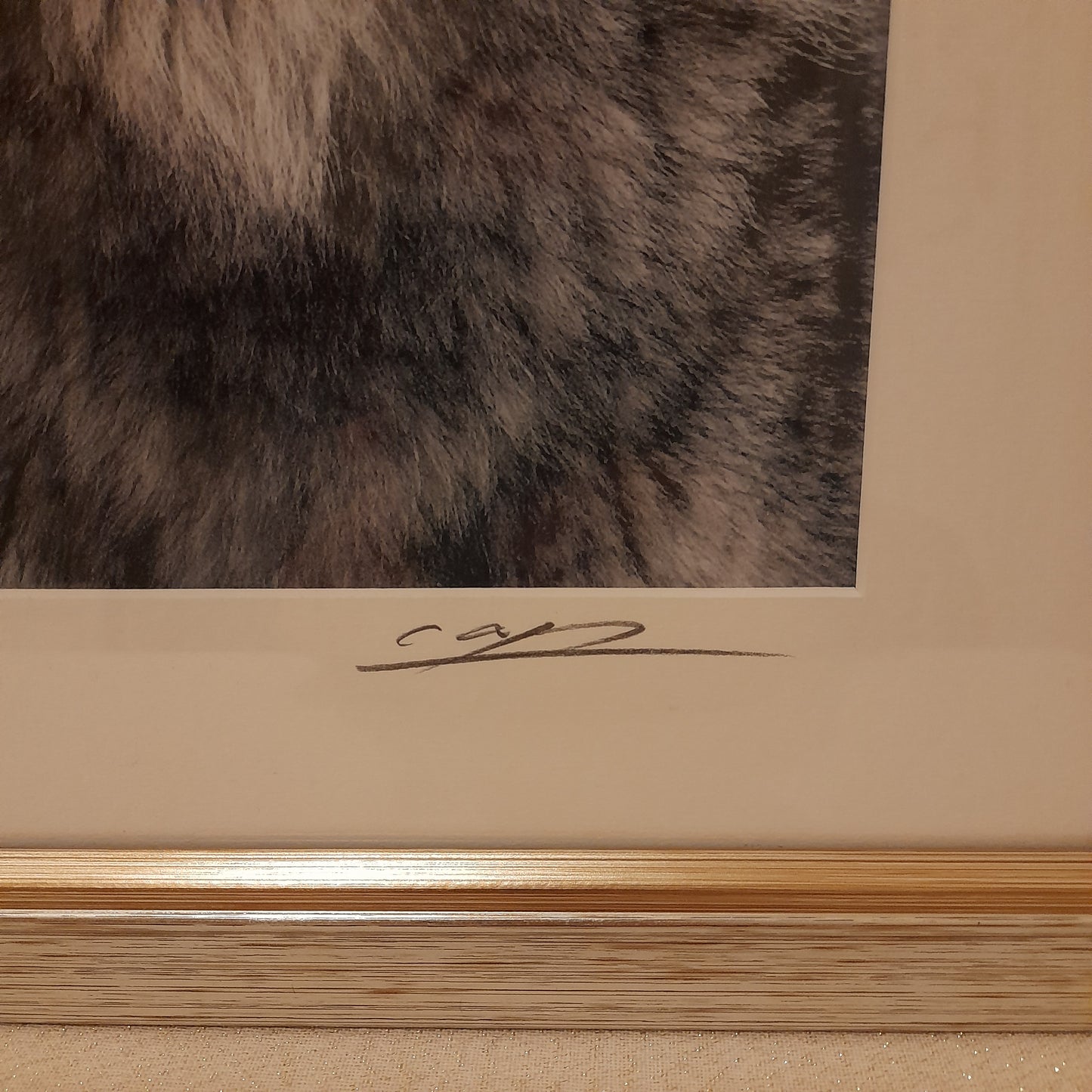 Cheng Yan Studio 'Alert Wolf' Framed Photo