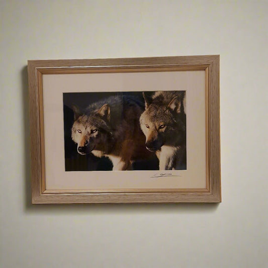 Cheng Yan Studio 'Prowling Wolves' Framed Photo