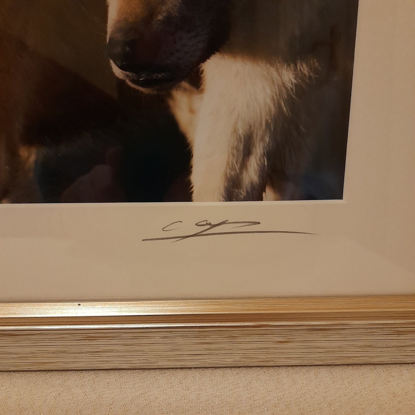 Cheng Yan Studio 'Prowling Wolves' Framed Photo