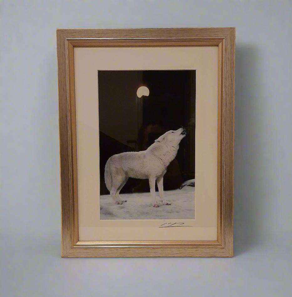 Cheng Yan Studio 'Howling Wolf' Framed Photo