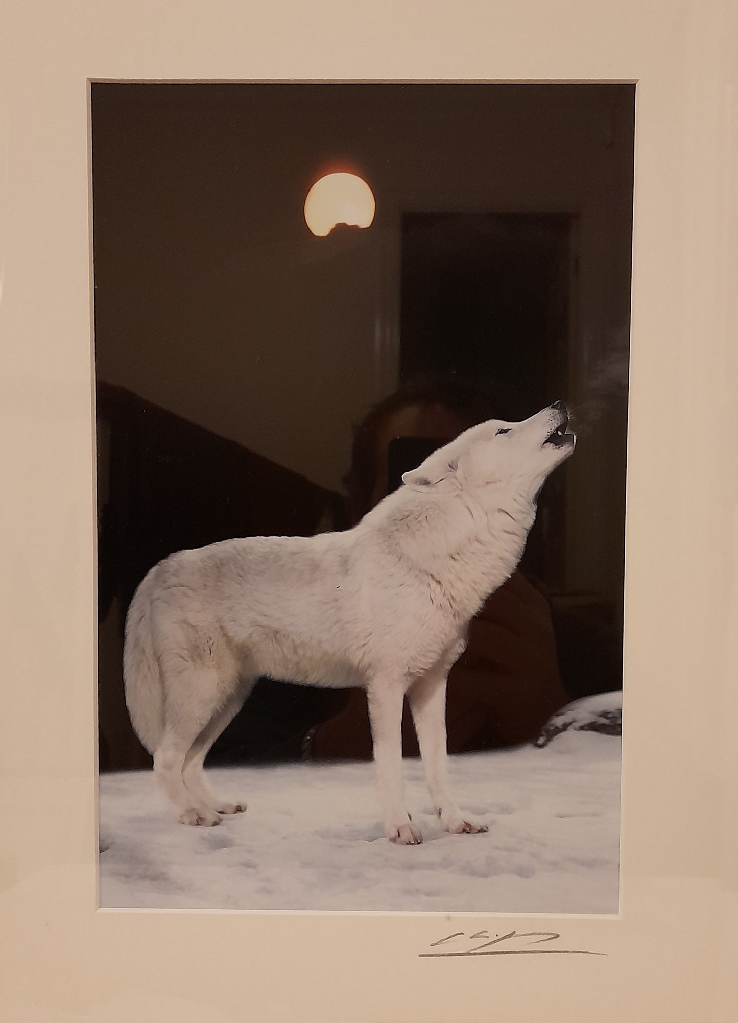 Cheng Yan Studio 'Howling Wolf' Framed Photo