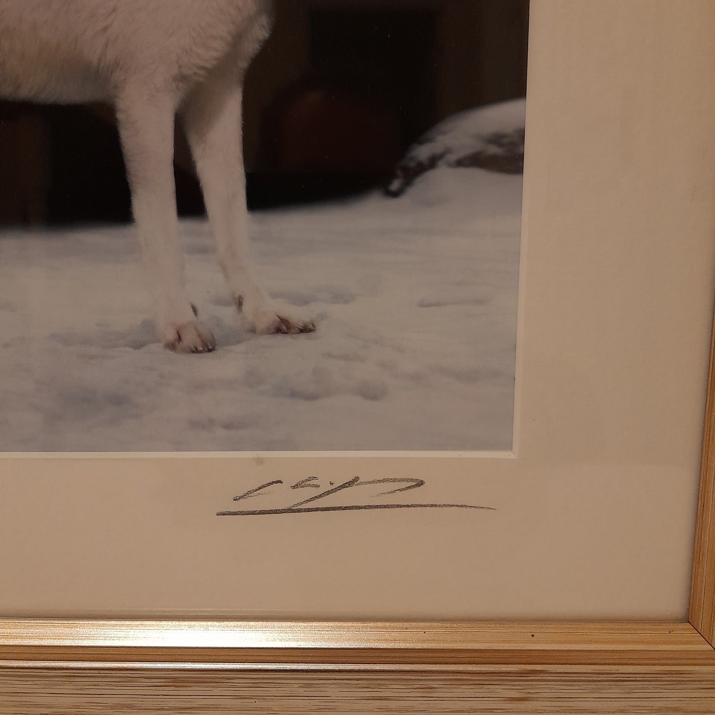 Cheng Yan Studio 'Howling Wolf' Framed Photo